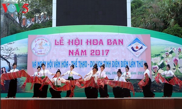 2017 Ban Flower Festival opens  - ảnh 1